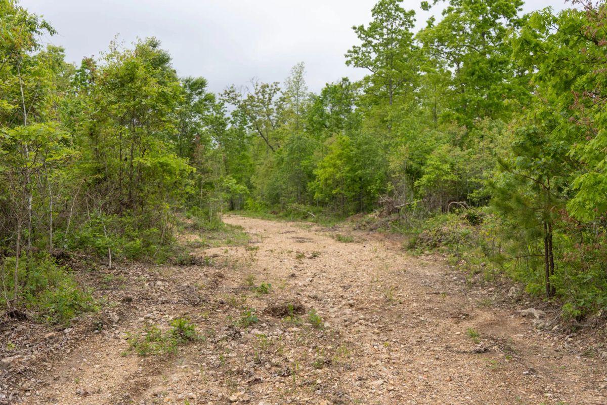 Sleepy Hollow Phase II Tract 92 - Image 2