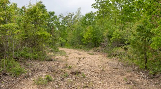 Sleepy Hollow Phase II Tract 92 in Texas County, MO