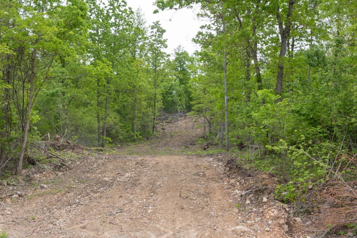 Sleepy Hollow Phase II Tract 92 - Image 3