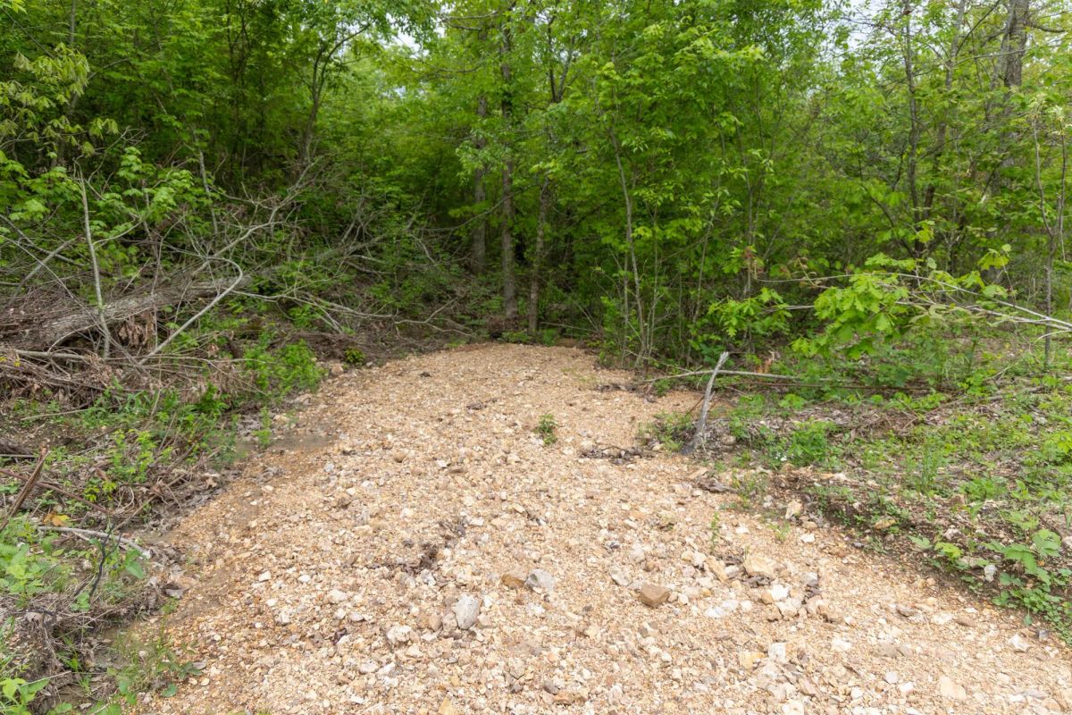 Decorative background for Sleepy Hollow Phase II Tract 92 image 6