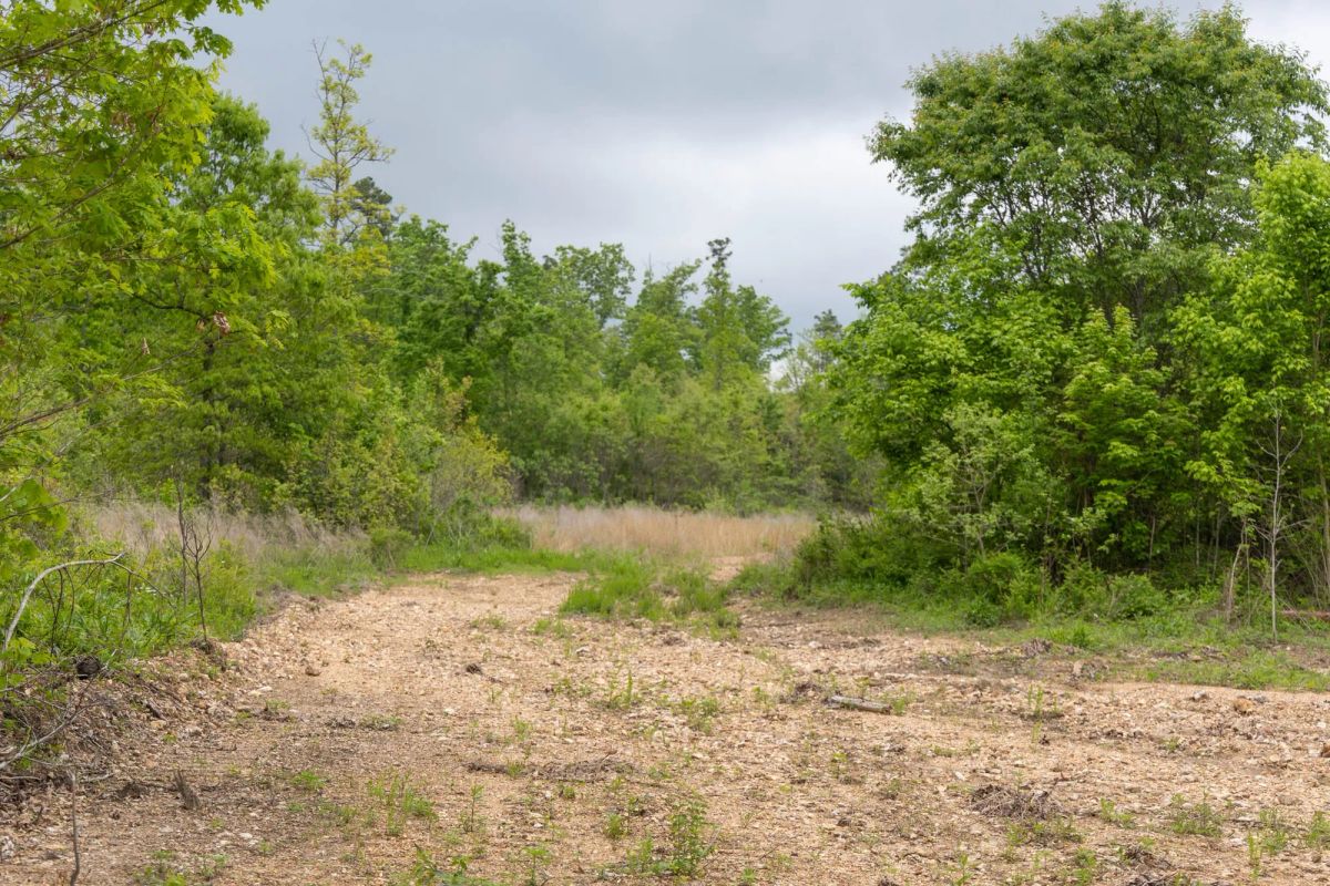 Decorative background for Sleepy Hollow Phase II Tract 92 image 7