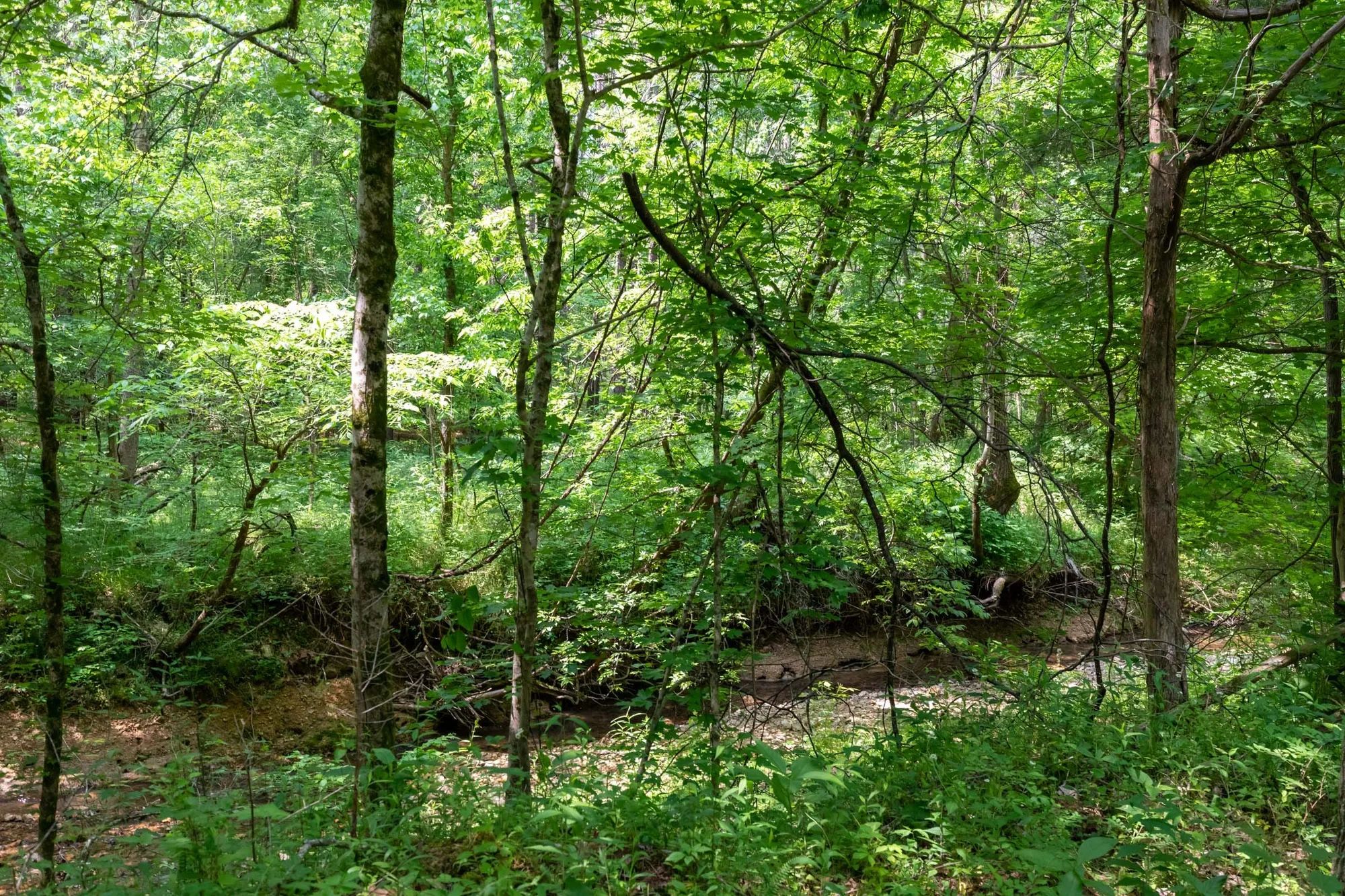 Falcon Crest Tract 22 in Pushmataha County, OK