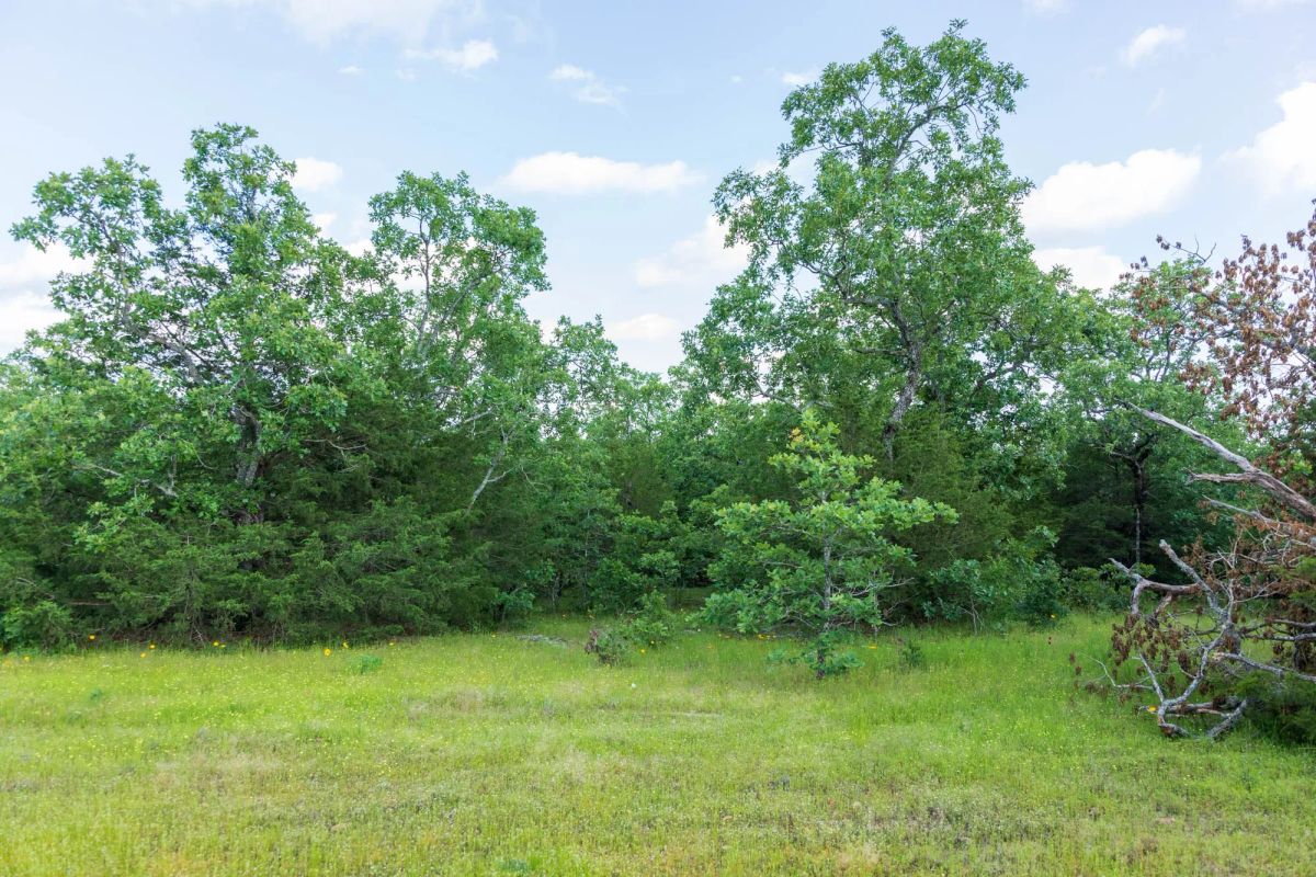 Falcon Crest Tract 22 - Image 4