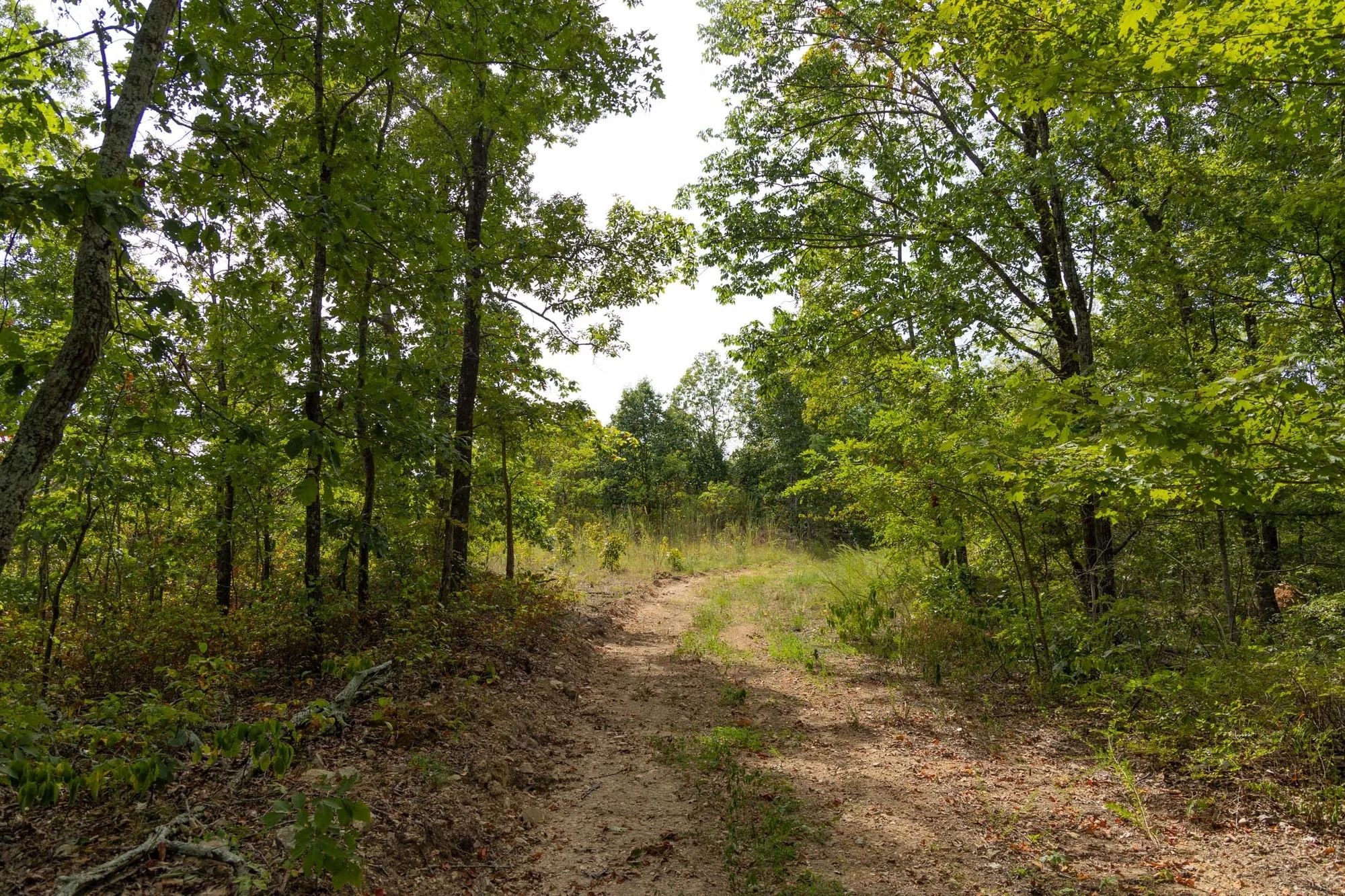 Big White Oak Tract 147 in Perry County, TN