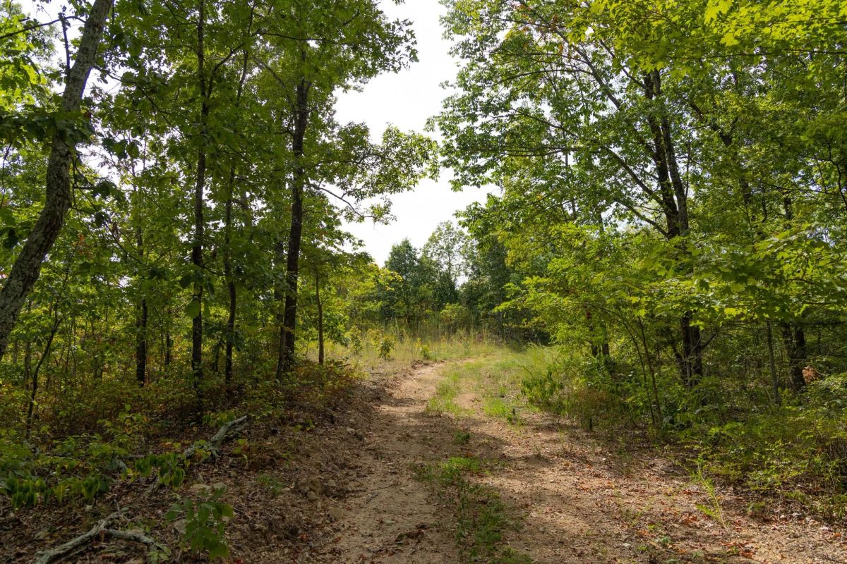 Big White Oak Tract 147 - Main image