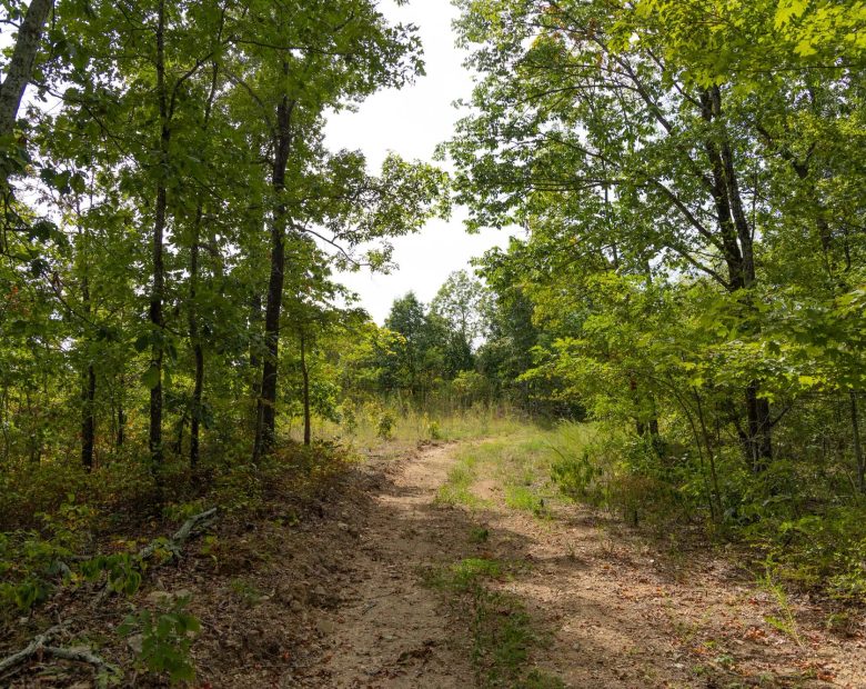 Big White Oak Tract 147 in Perry County, TN