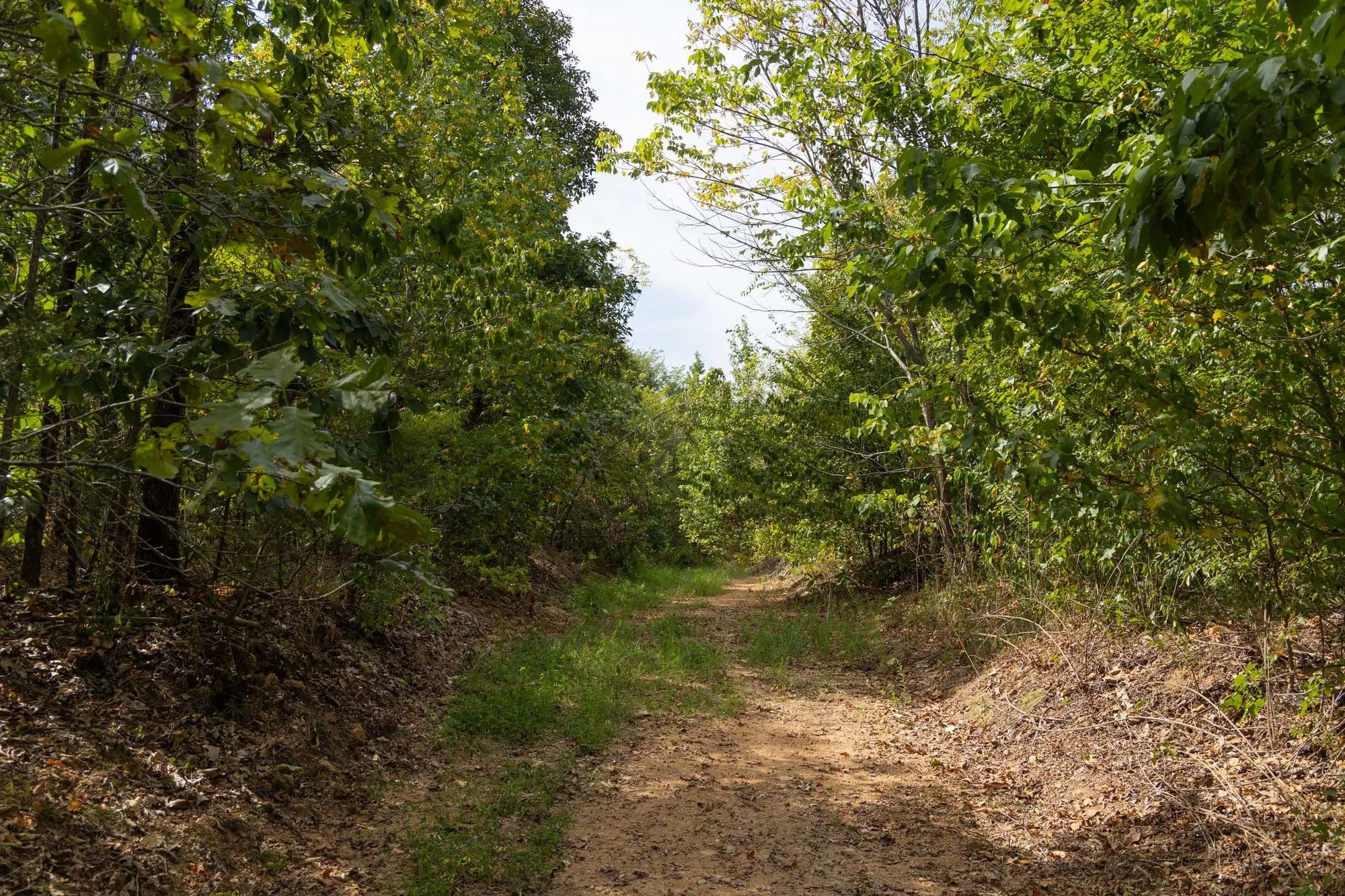 Big White Oak Tract 147 in Perry County, TN