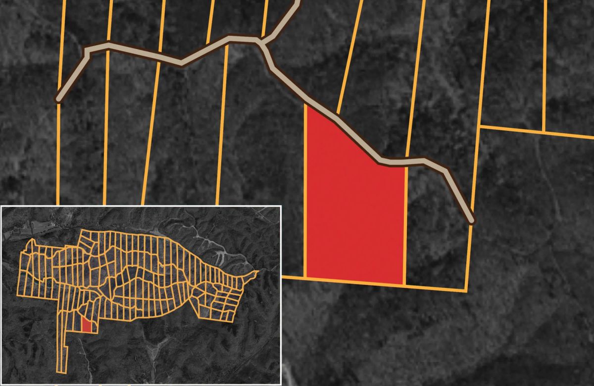 Decorative background for Big White Oak Tract 147 image 9