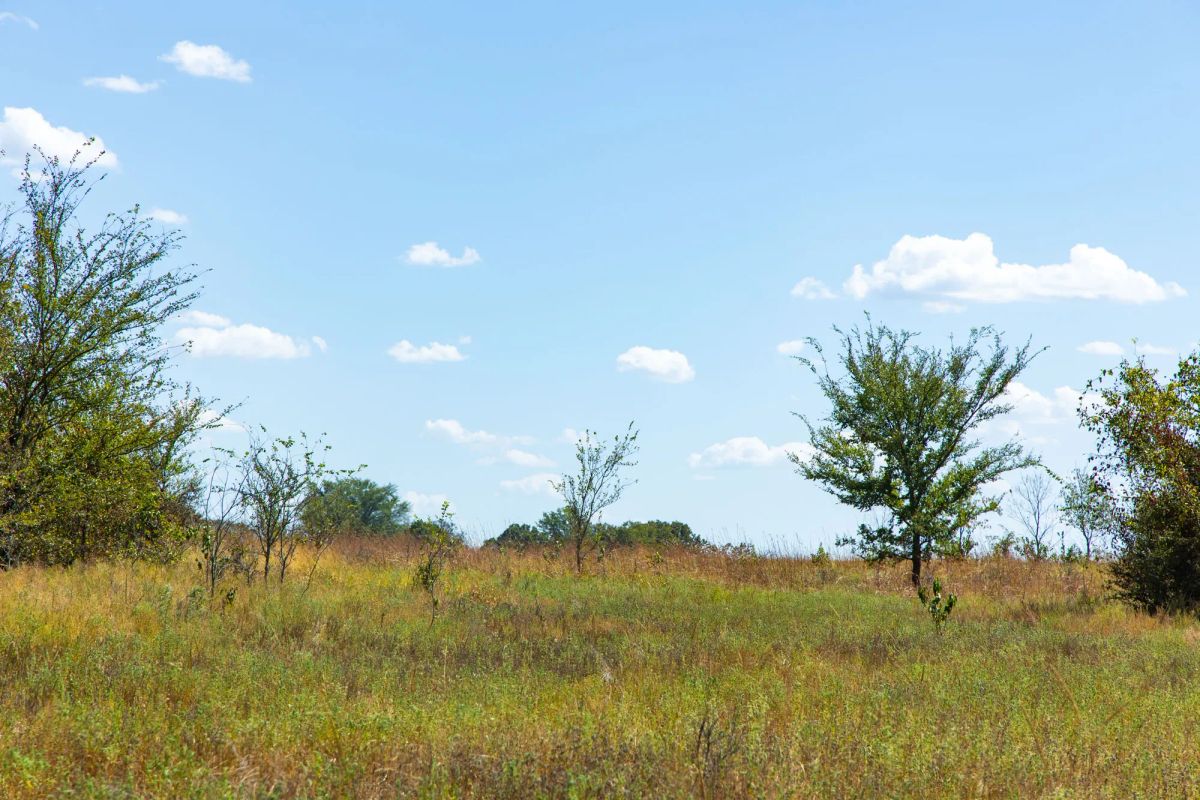 Gracyn Meadows Tract 13 - Main image