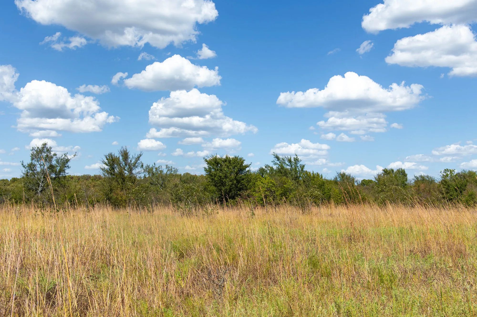 Gracyn Meadows Tract 13 in Okfuskee County, OK