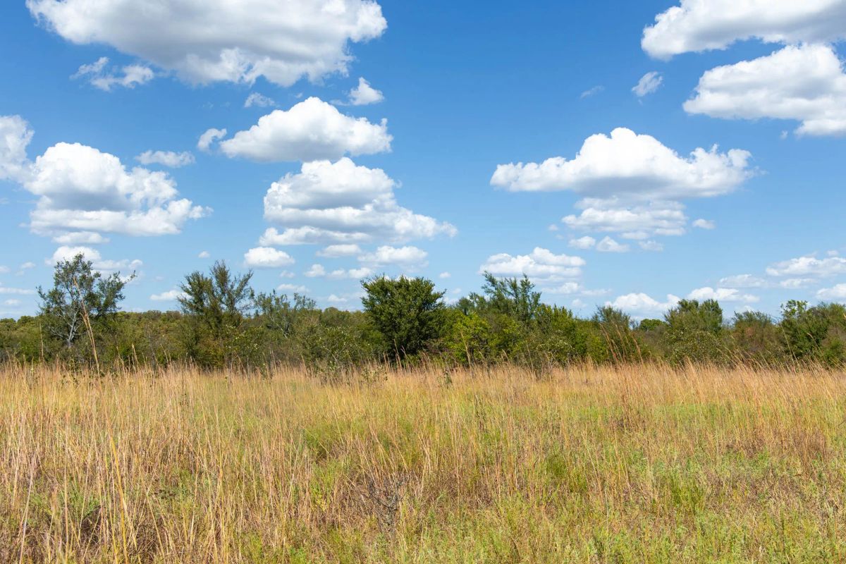 Gracyn Meadows Tract 13 - Image 2