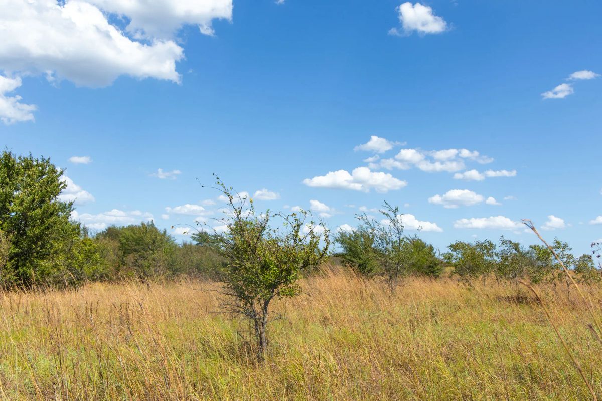 Gracyn Meadows Tract 13 - Image 4