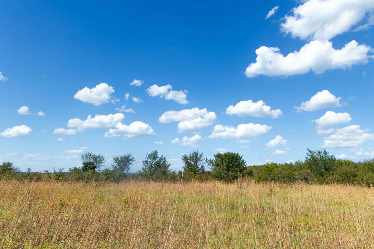 Decorative background for Gracyn Meadows Tract 13 image 5