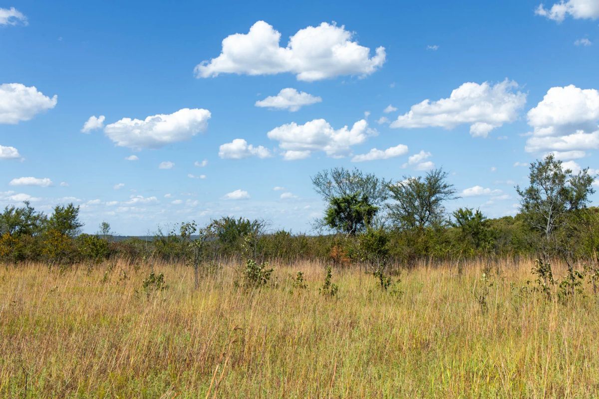 Decorative background for Gracyn Meadows Tract 13 image 6