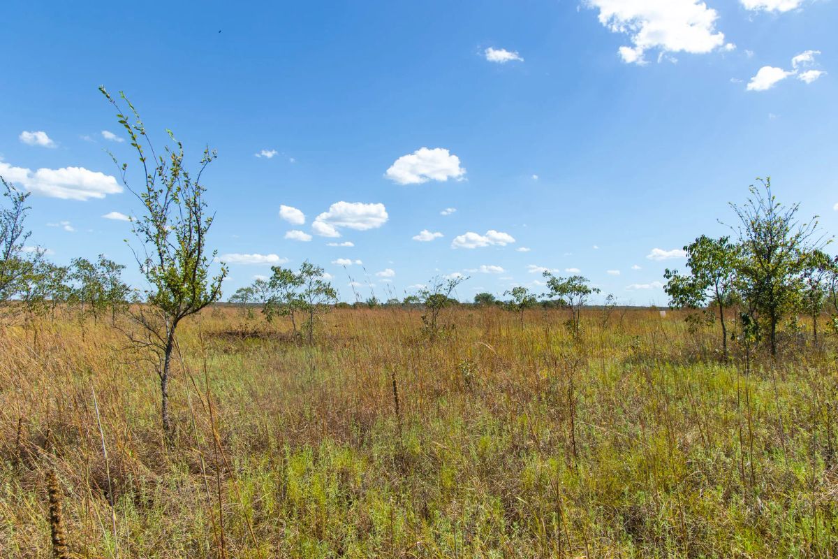 Decorative background for Gracyn Meadows Tract 13 image 8