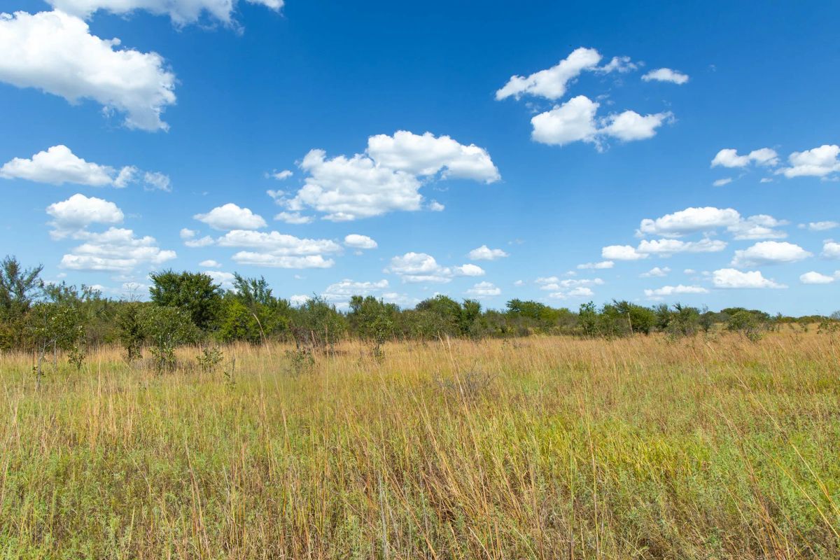 Decorative background for Gracyn Meadows Tract 13 image 10