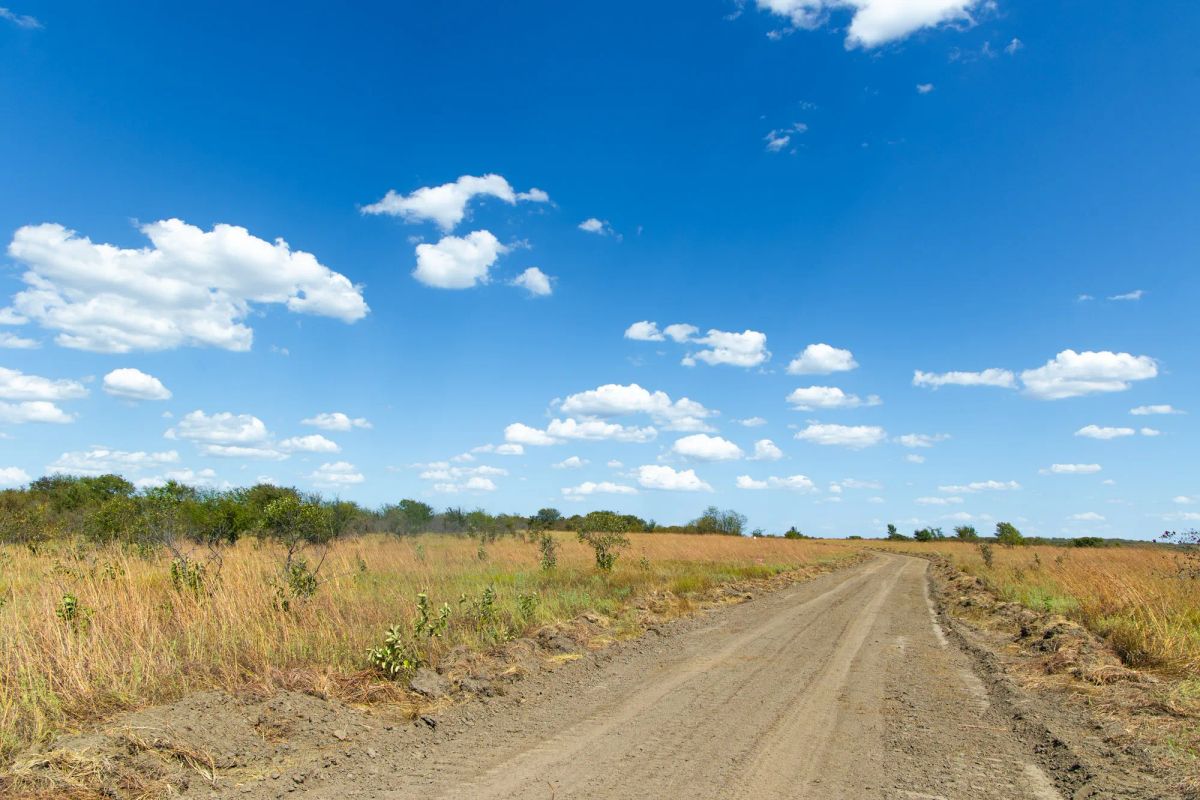 Decorative background for Gracyn Meadows Tract 13 image 13