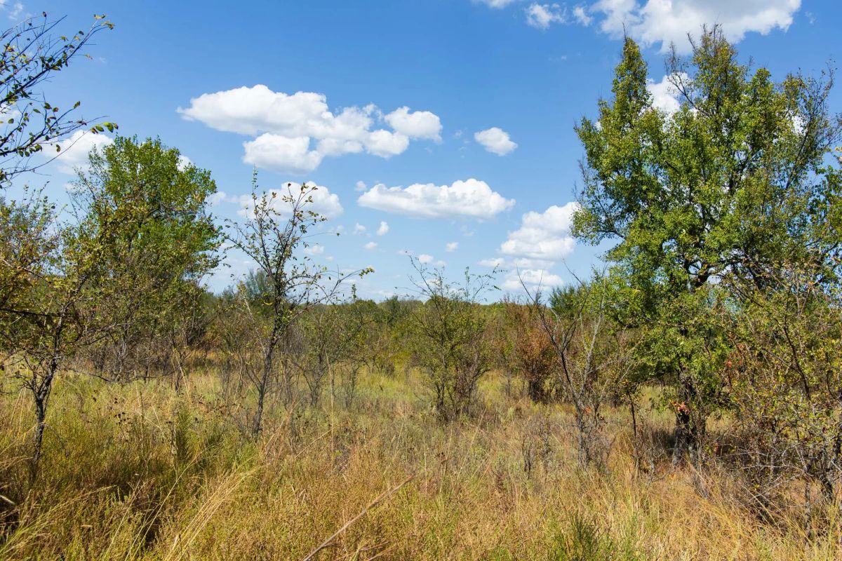 Decorative background for Gracyn Meadows Tract 13 image 14