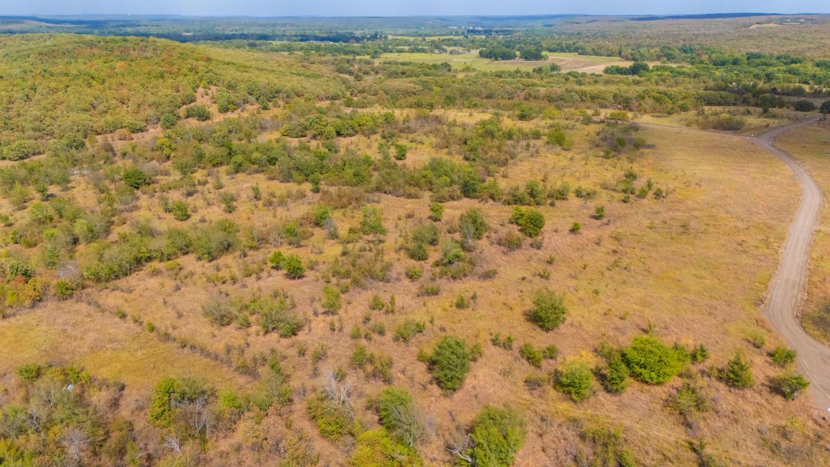 Decorative background for Gracyn Meadows Tract 13 image 15