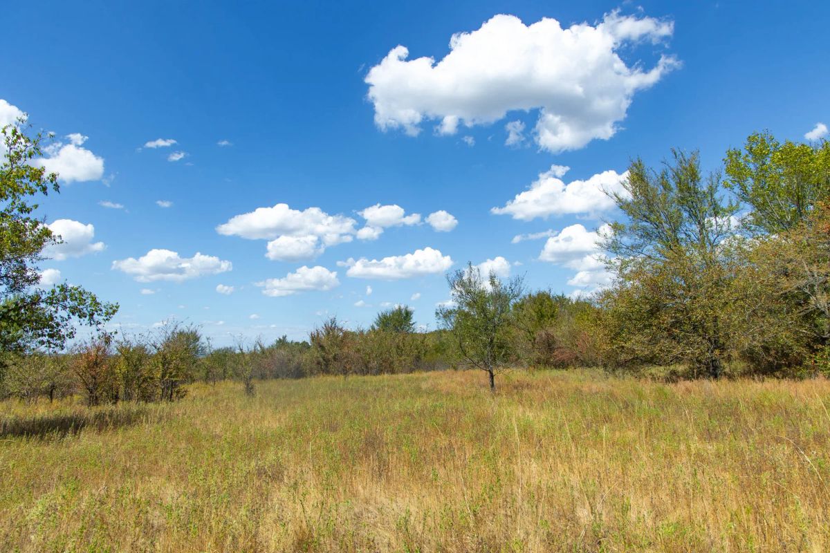 Decorative background for Gracyn Meadows Tract 13 image 17