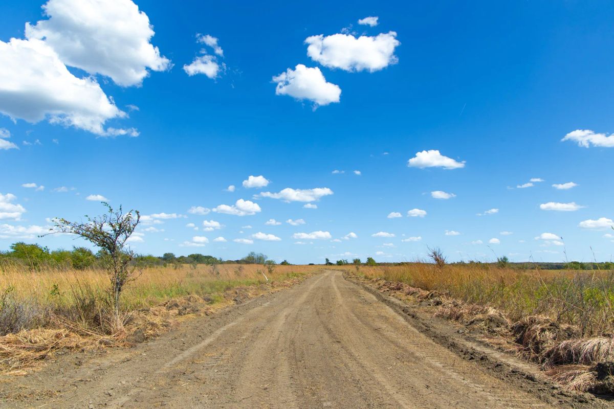 Decorative background for Gracyn Meadows Tract 13 image 18