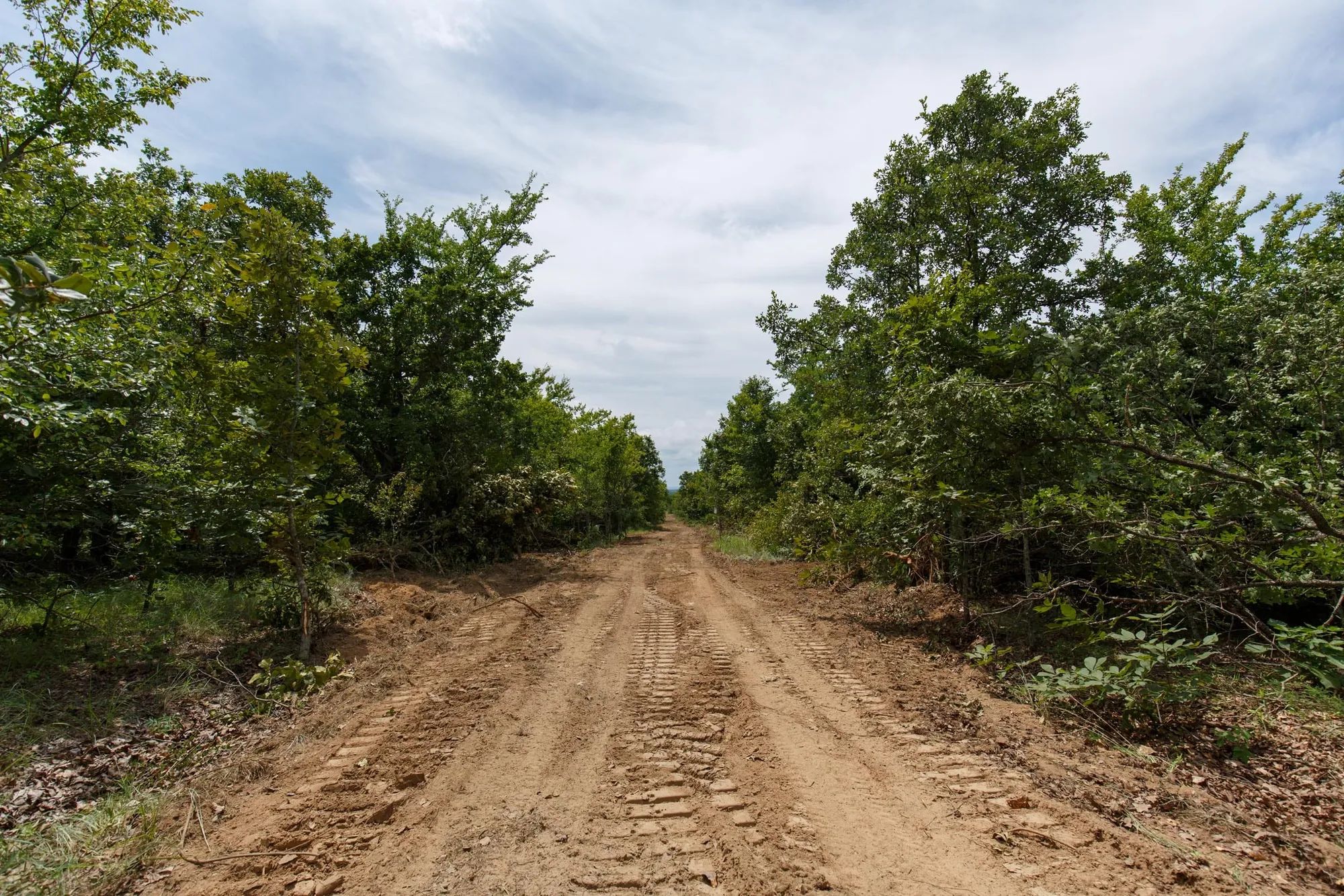 Timber Ridge Tract 25 in McIntosh County, OK