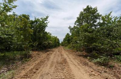 Timber Ridge Tract 25