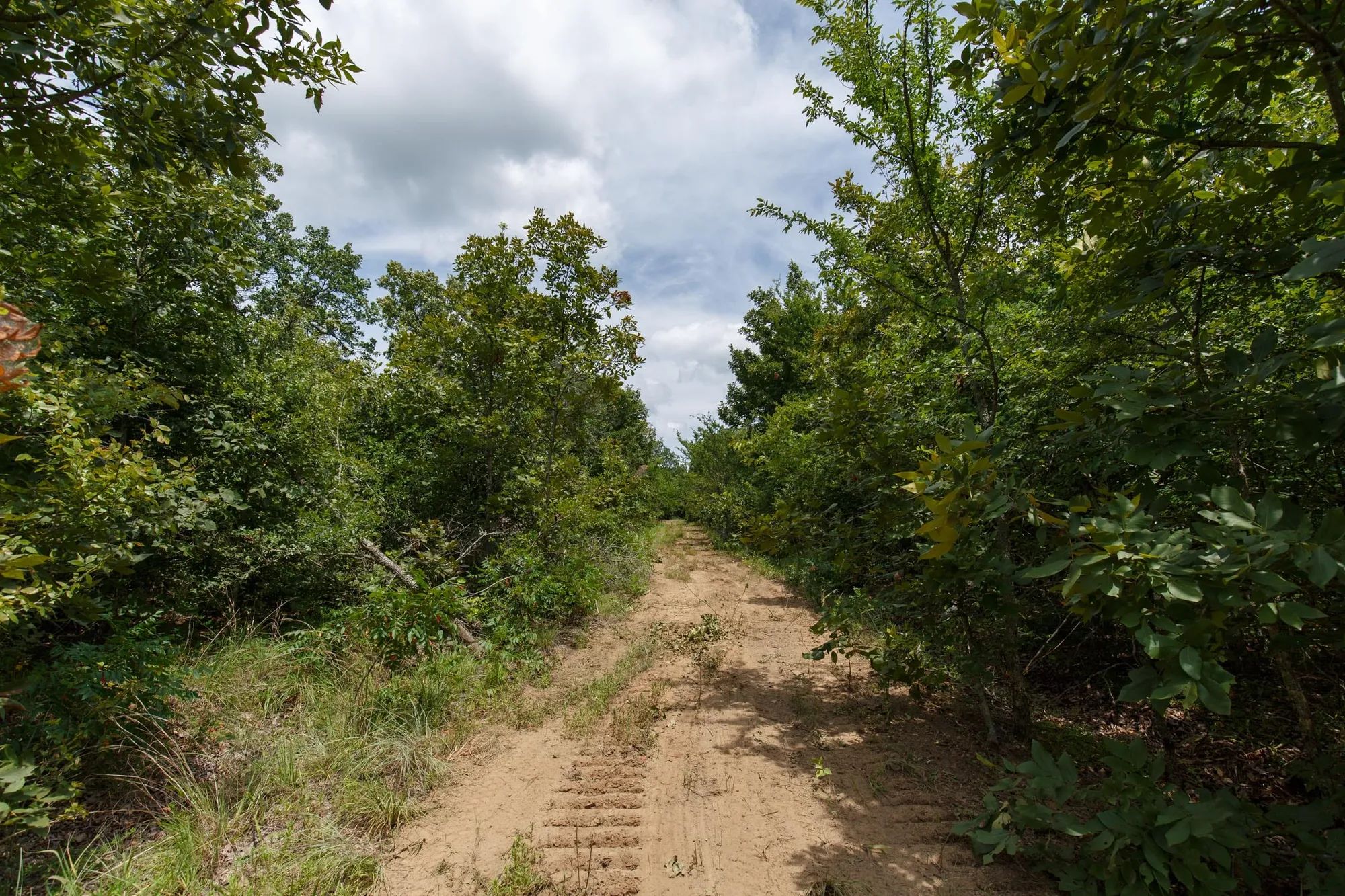 Timber Ridge Tract 25 in McIntosh County, OK