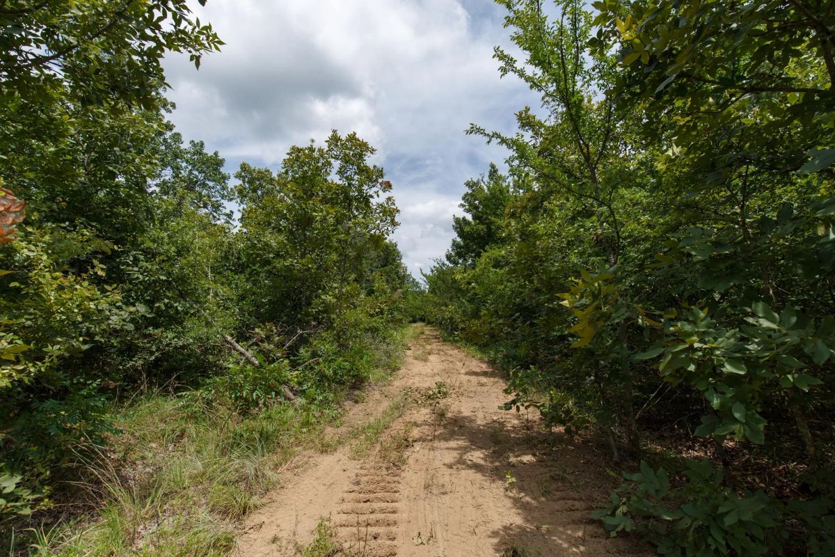 Timber Ridge Tract 25 - Image 4