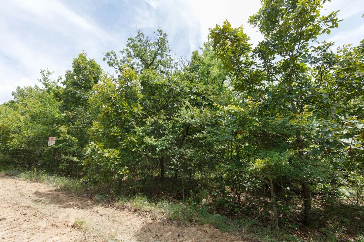 Decorative background for Timber Ridge Tract 25 image 5