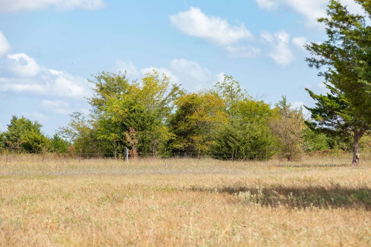 Wildflower Reserve Tract 6 - Main image
