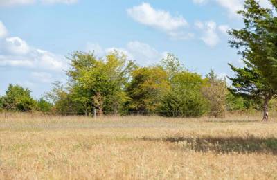 Wildflower Reserve Tract 6