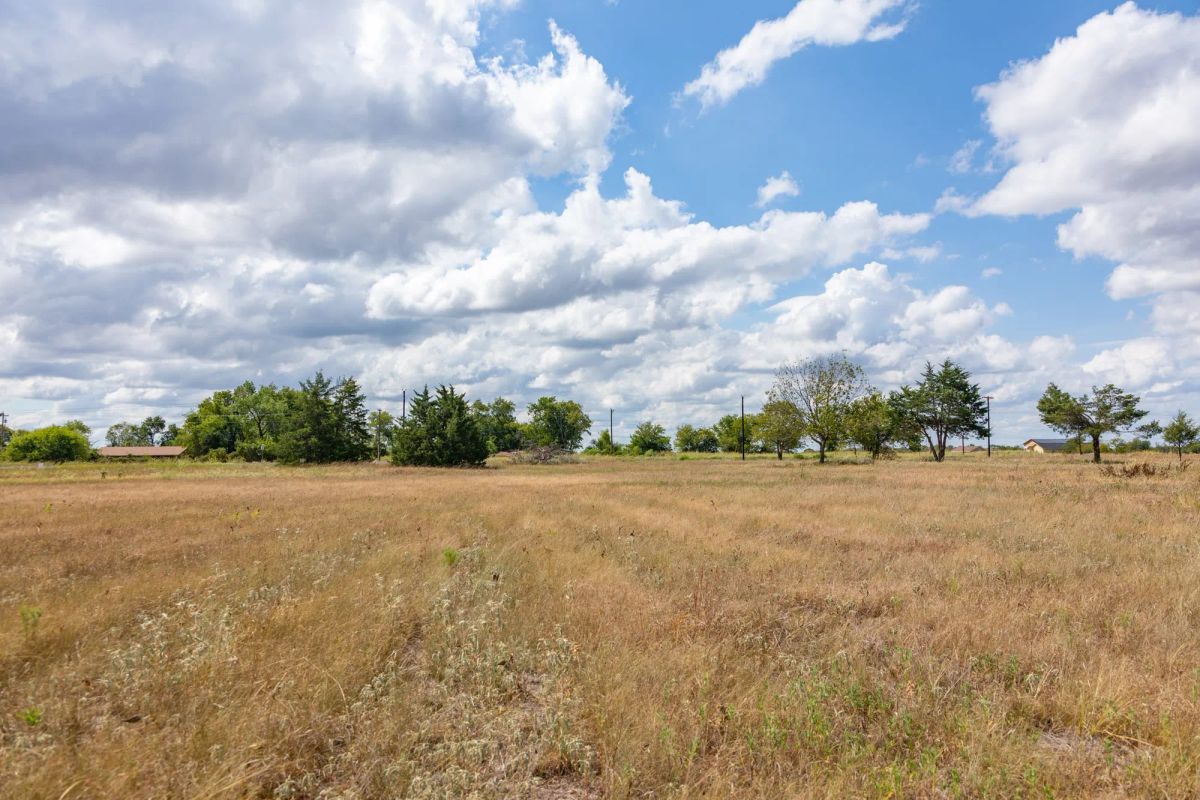 Decorative background for Wildflower Reserve Tract 6 image 5