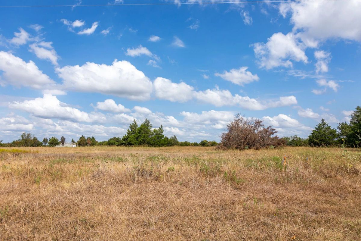 Decorative background for Wildflower Reserve Tract 6 image 7