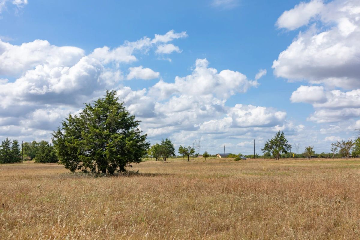 Decorative background for Wildflower Reserve Tract 6 image 8