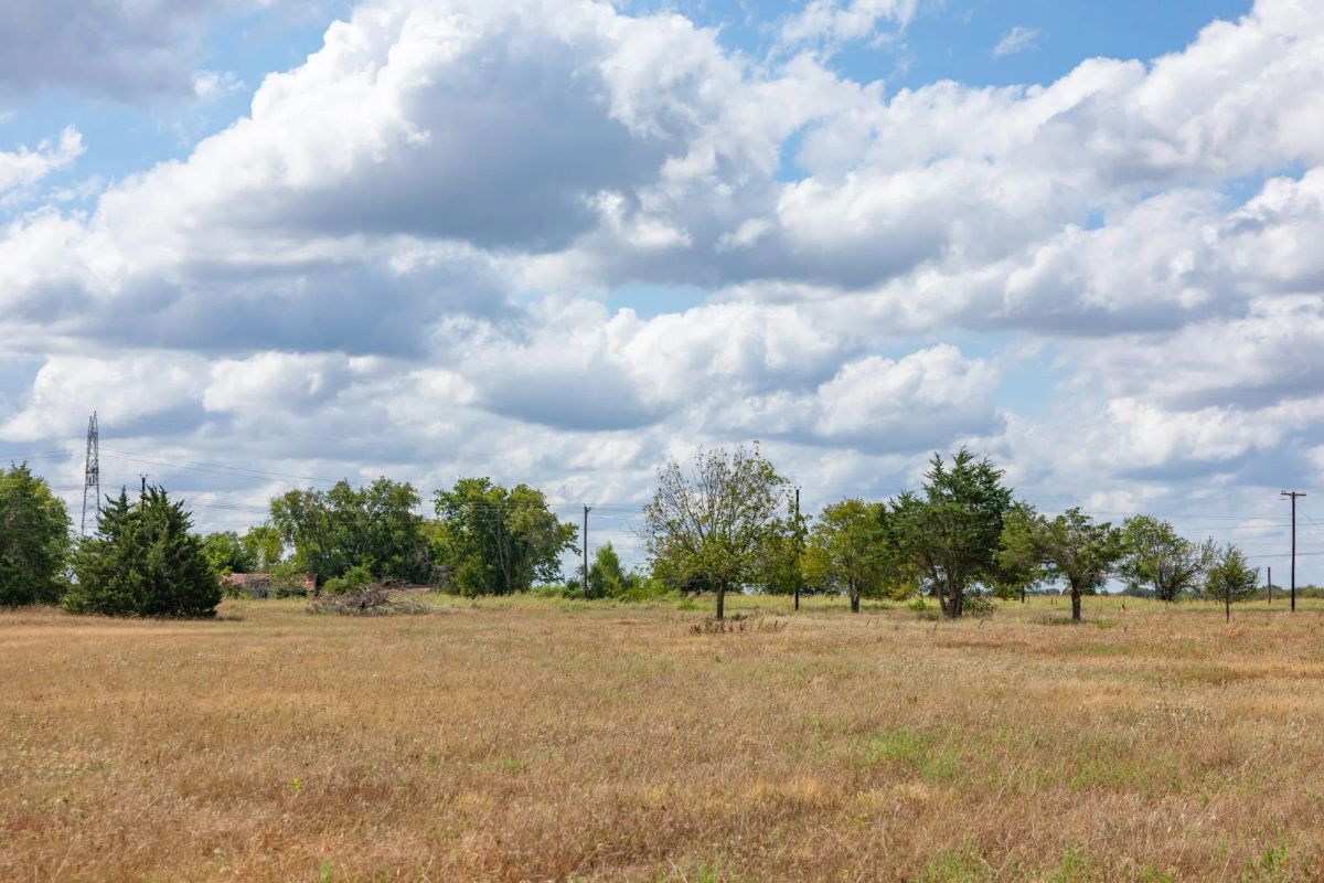 Decorative background for Wildflower Reserve Tract 6 image 9