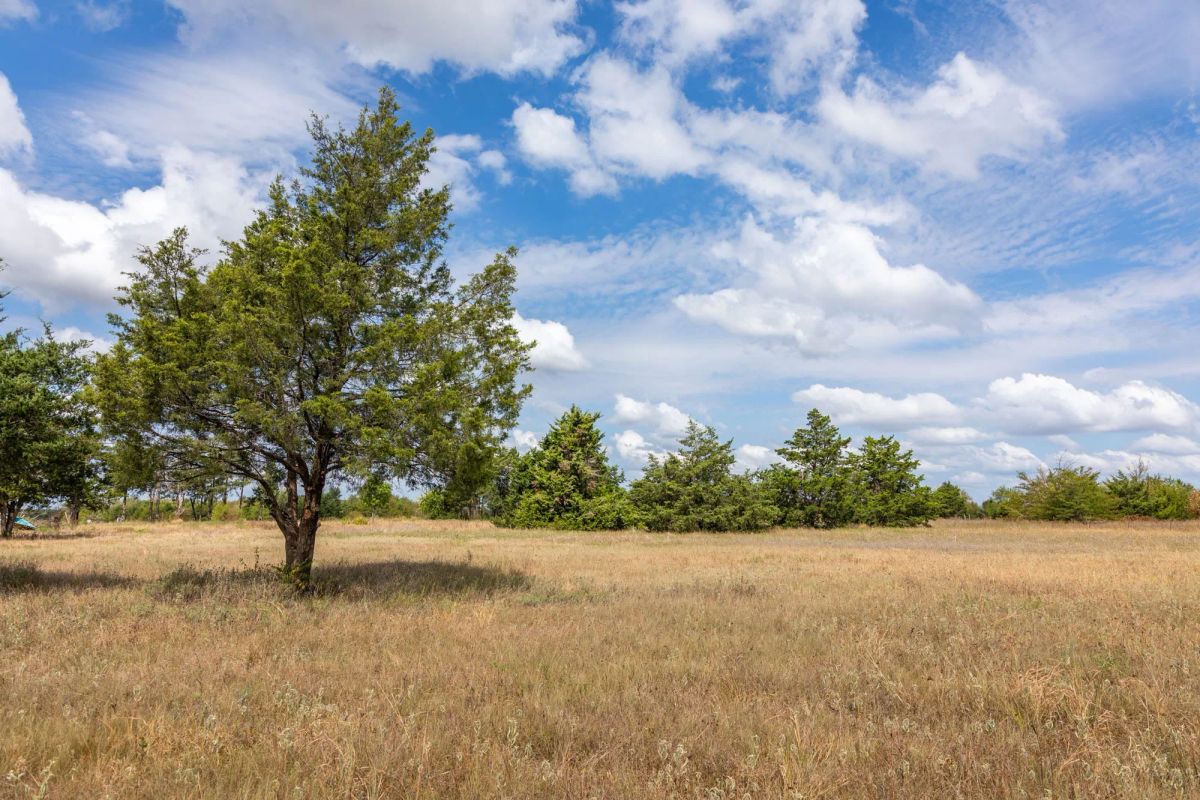 Decorative background for Wildflower Reserve Tract 6 image 10