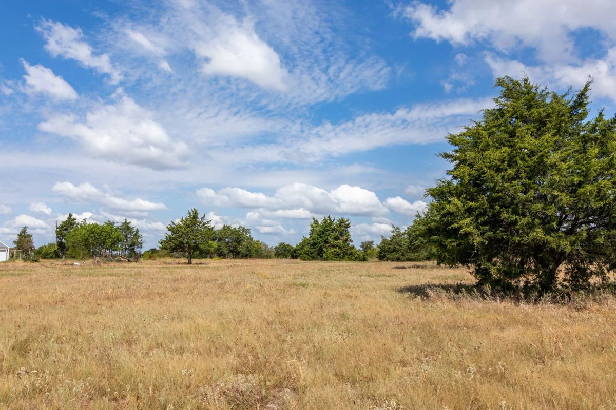 Decorative background for Wildflower Reserve Tract 6 image 11