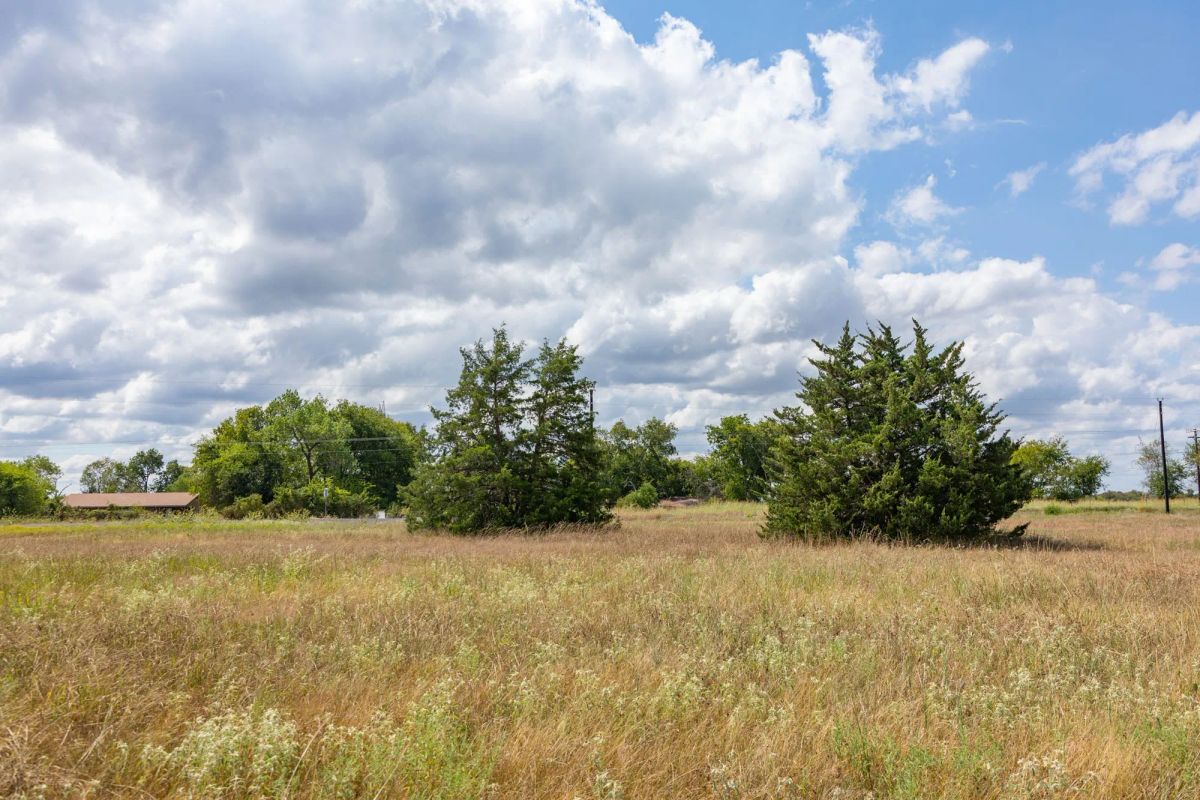 Decorative background for Wildflower Reserve Tract 6 image 13