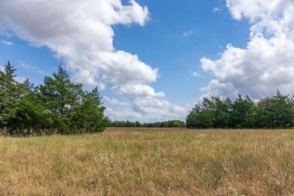 Decorative background for Wildflower Reserve Tract 6 image 14
