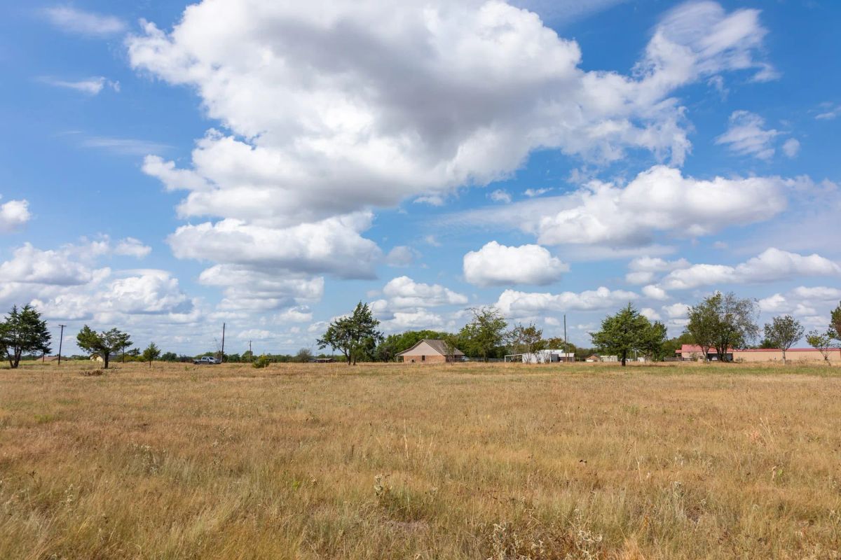 Decorative background for Wildflower Reserve Tract 6 image 15