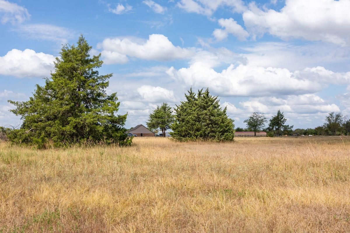 Decorative background for Wildflower Reserve Tract 6 image 16
