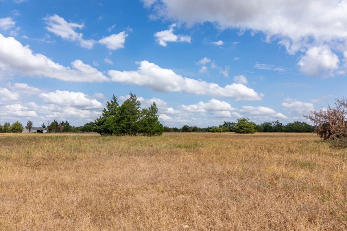 Decorative background for Wildflower Reserve Tract 6 image 17