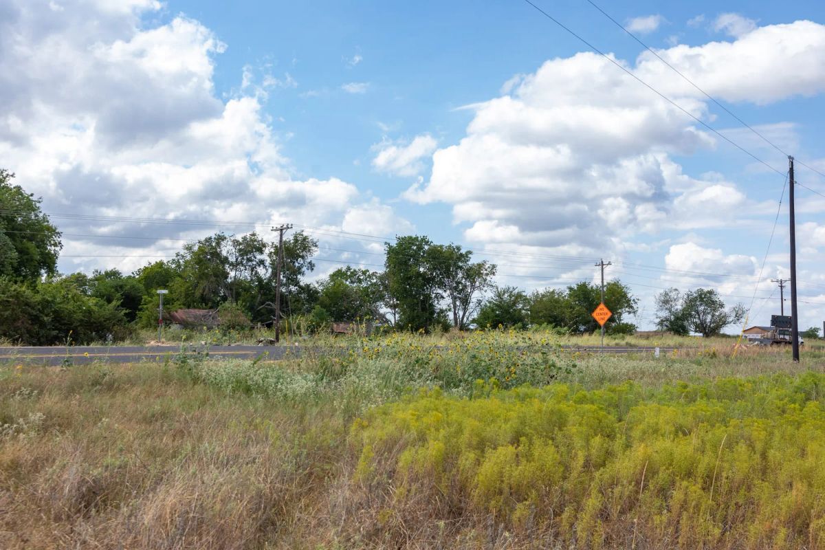 Decorative background for Wildflower Reserve Tract 6 image 18