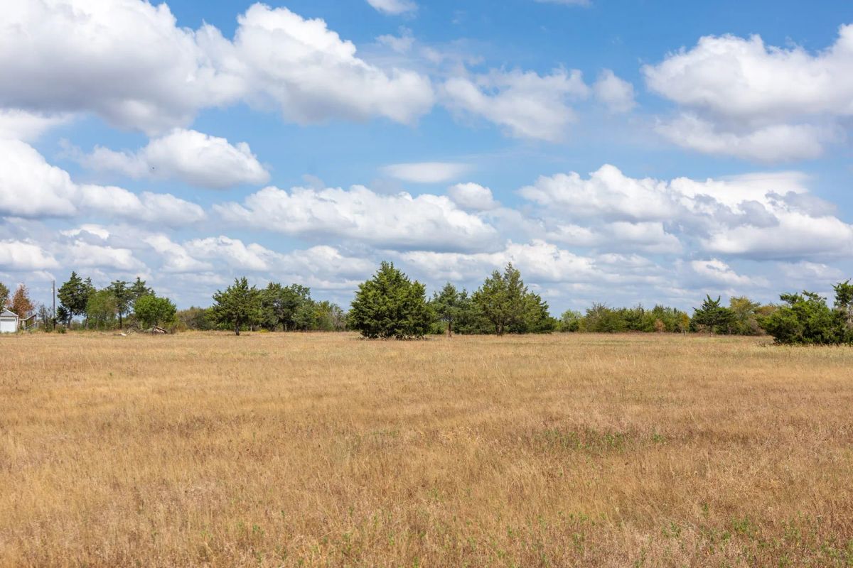 Decorative background for Wildflower Reserve Tract 6 image 19