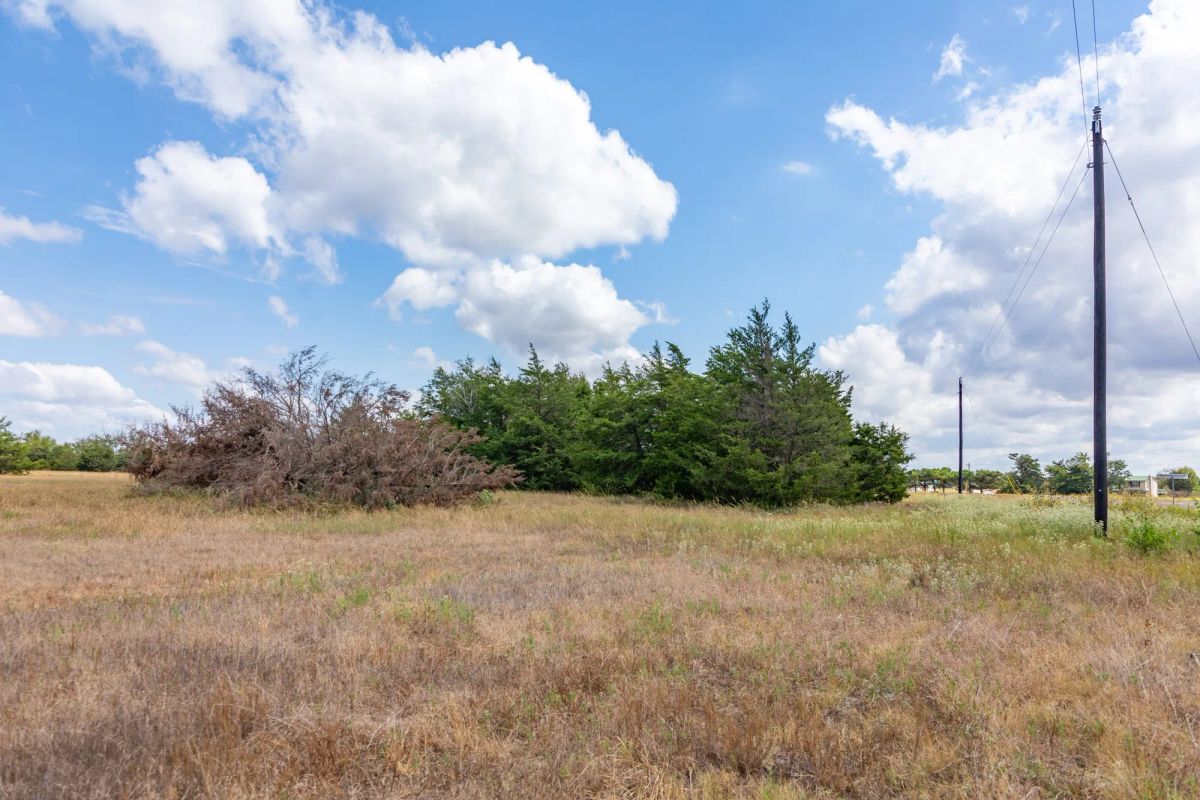 Decorative background for Wildflower Reserve Tract 6 image 20