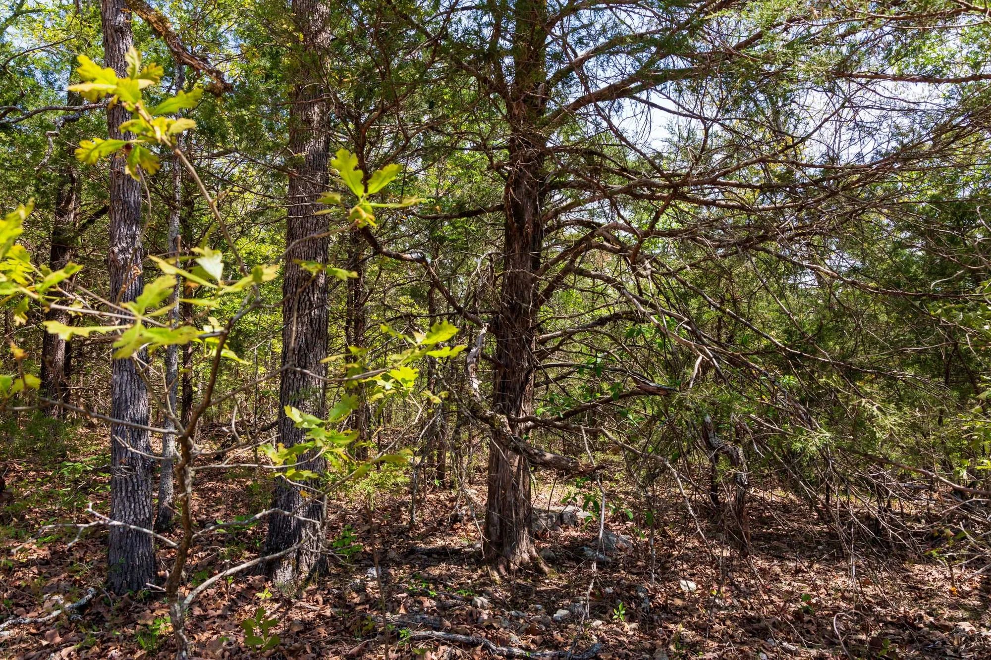 Autumnwood Tract 7 in Fulton County, AR
