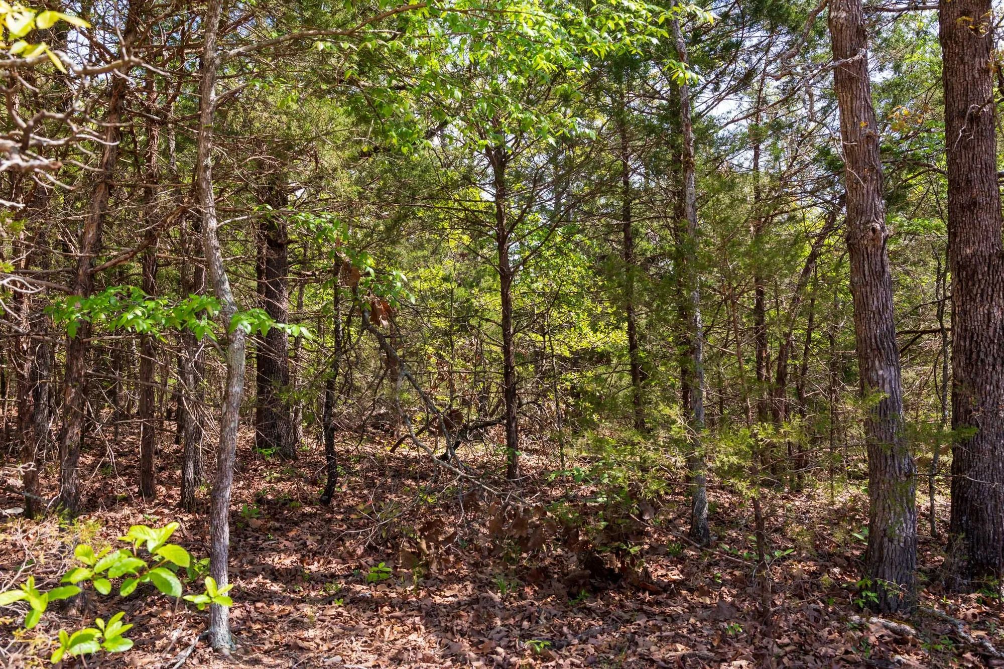 Autumnwood Tract 7 in Fulton County, AR