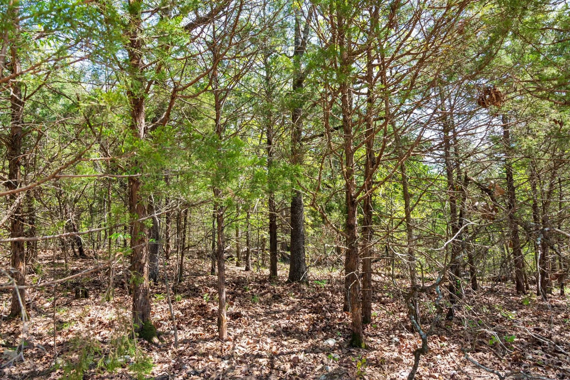 Autumnwood Tract 7 in Fulton County, AR