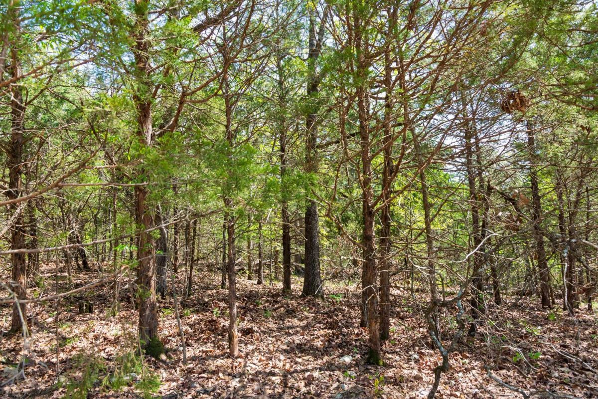 Autumnwood Tract 7 - Image 4